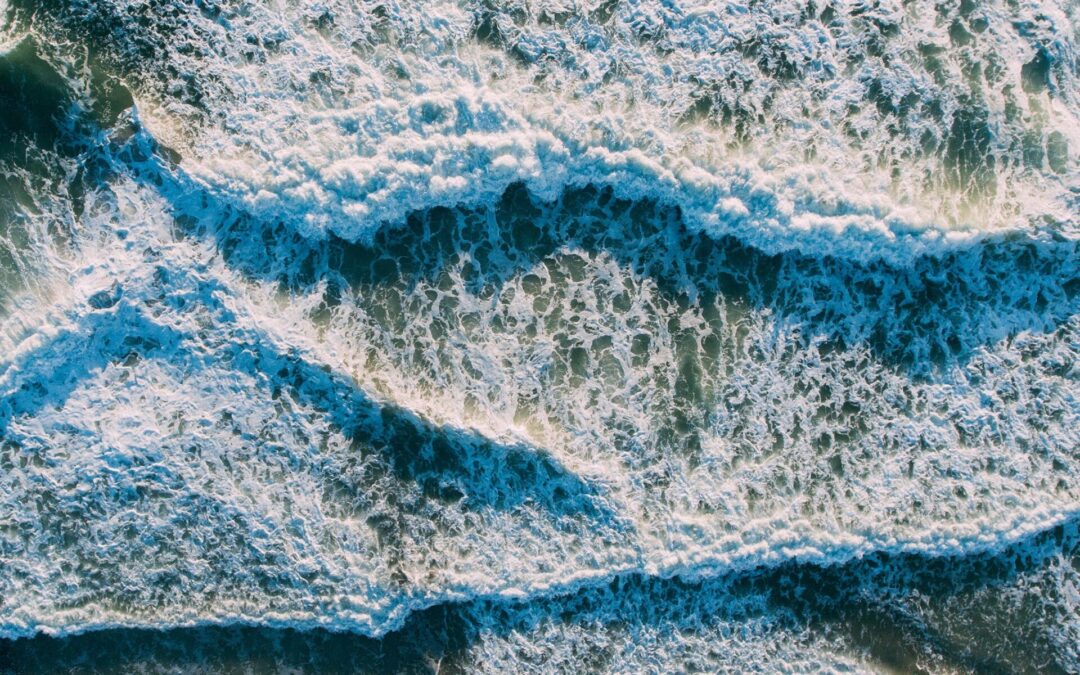 What our industry needs to succeed