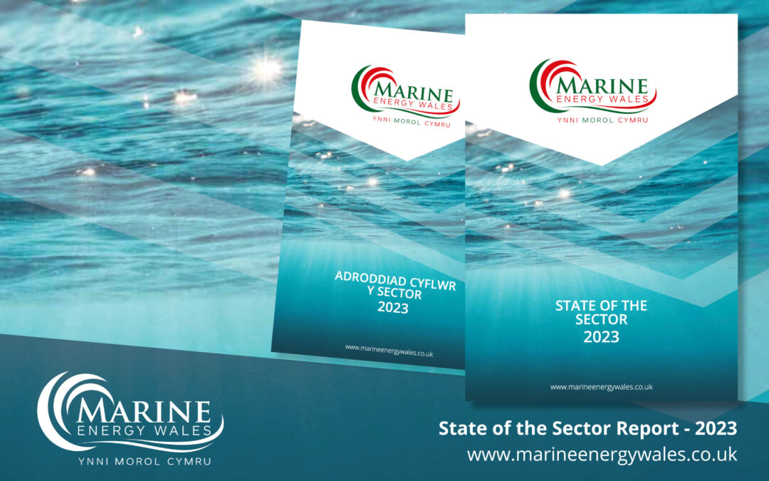 read Our 2023 State of The Sector Report