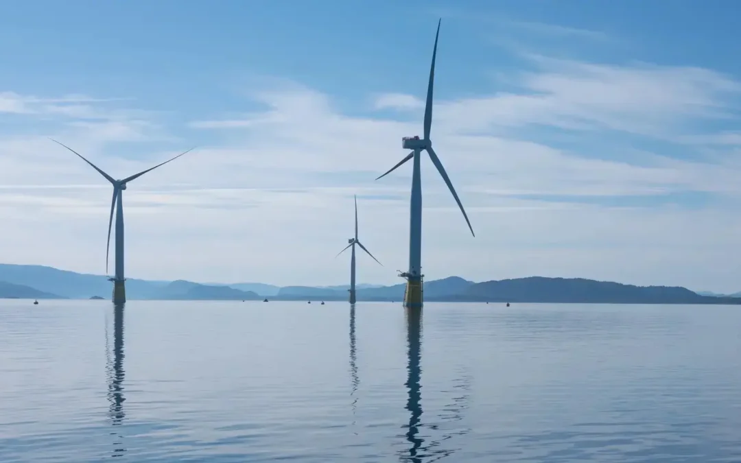 New Research programme to develop knowledge on noise mitigation for floating offshore wind