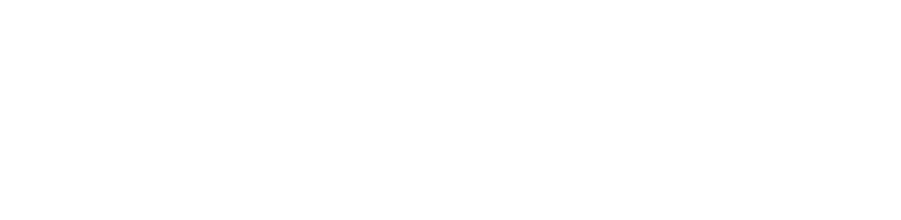 BLUE GEM LOGO WHITE