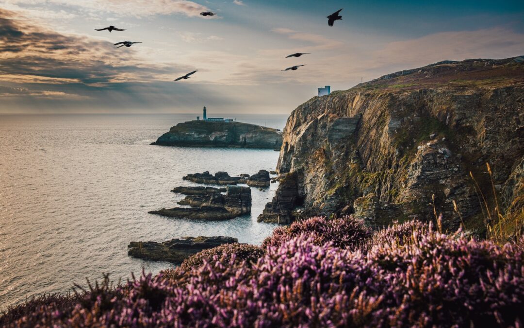 Successful completion of environmental plan for Anglesey tidal energy project
