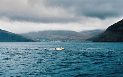 Minesto’s Tidal Energy Power Plant sets electricity production record