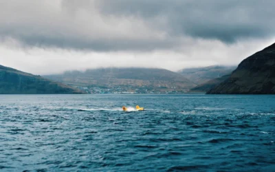 Minesto’s Tidal Energy Power Plant sets electricity production record