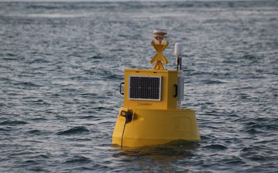 AI wildlife detection announced for Inyanga’s pioneering tidal stream energy project in Wales